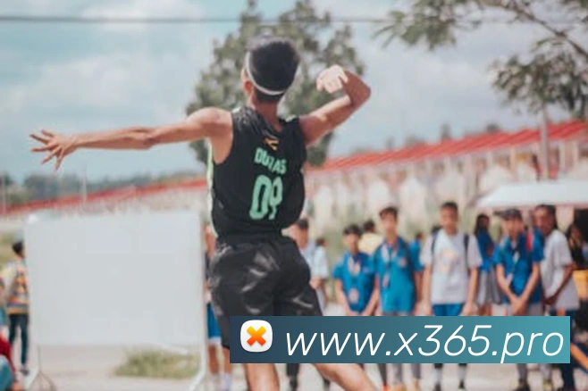 bet365亚洲官网平台生态图